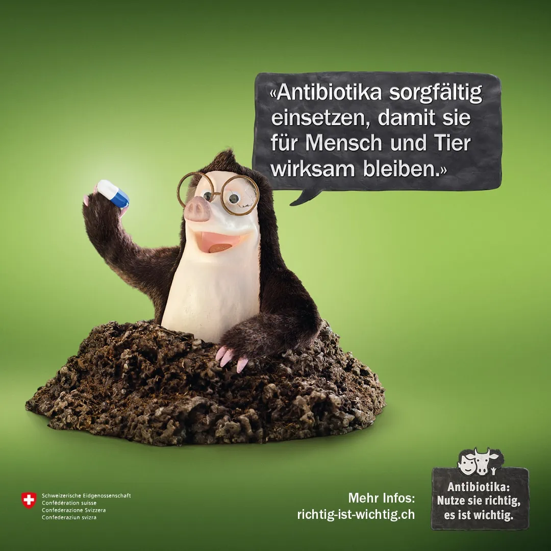 BAG Kampagne Antibiotika Plakat Motiv Maulwurf